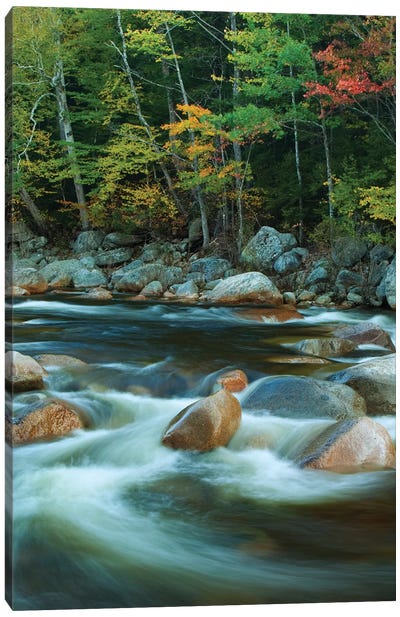 USA, New Hampshire. Autumn trees and flowing river. Canvas Art Print - Jaynes Gallery