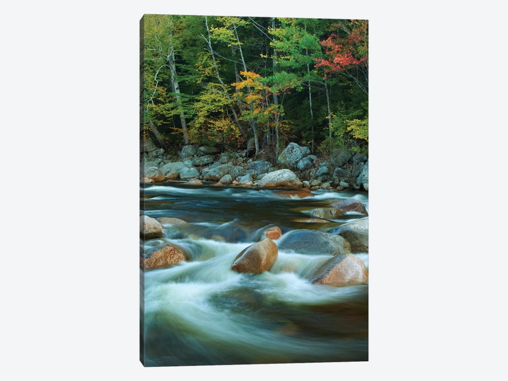 USA, New Hampshire. Autumn trees and flowing river. by Jaynes Gallery 1-piece Canvas Wall Art