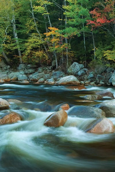 New Hampshire: USA, New Hampshire. Autumn trees and flowing river. by Jaynes Gallery