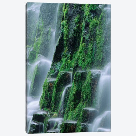 USA, Oregon, Three Sisters Wilderness. Close-up of Proxy Falls. Canvas Print #JYG749} by Jaynes Gallery Canvas Wall Art