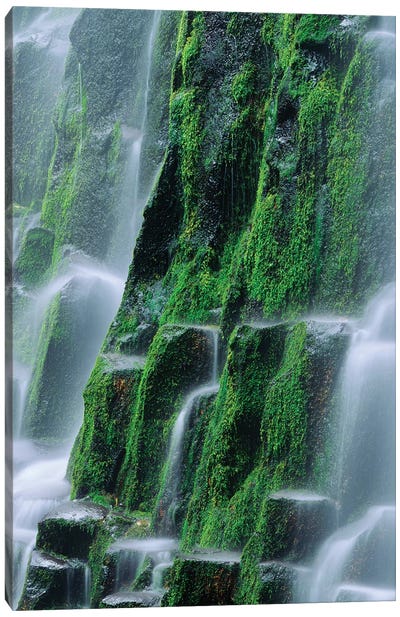 USA, Oregon, Three Sisters Wilderness. Close-up of Proxy Falls. Canvas Art Print - Moss Art