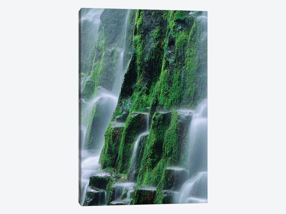 USA, Oregon, Three Sisters Wilderness. Close-up of Proxy Falls. by Jaynes Gallery 1-piece Canvas Art