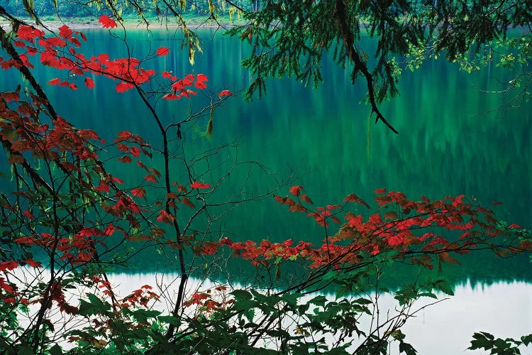 USA, Oregon, Three Sisters Wilderness. Linton Lake landscape.