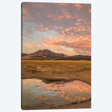 USA, Utah, Tooele County. Sunrise at a waterhole.  Canvas Print #JYG753} by Jaynes Gallery Canvas Print