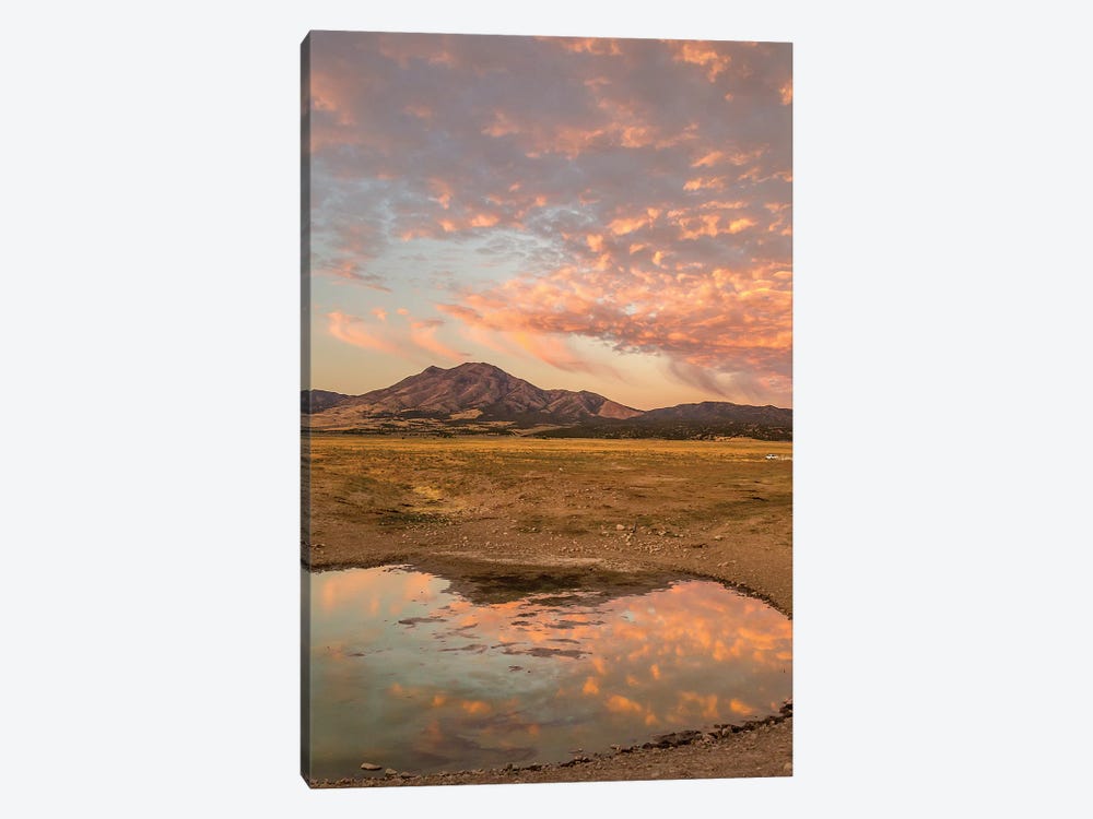 USA, Utah, Tooele County. Sunrise at a waterhole.  by Jaynes Gallery 1-piece Canvas Print