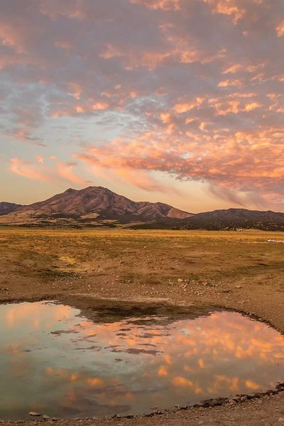 Dingley Green: USA, Utah, Tooele County. Sunrise at a waterhole.  by Jaynes Gallery
