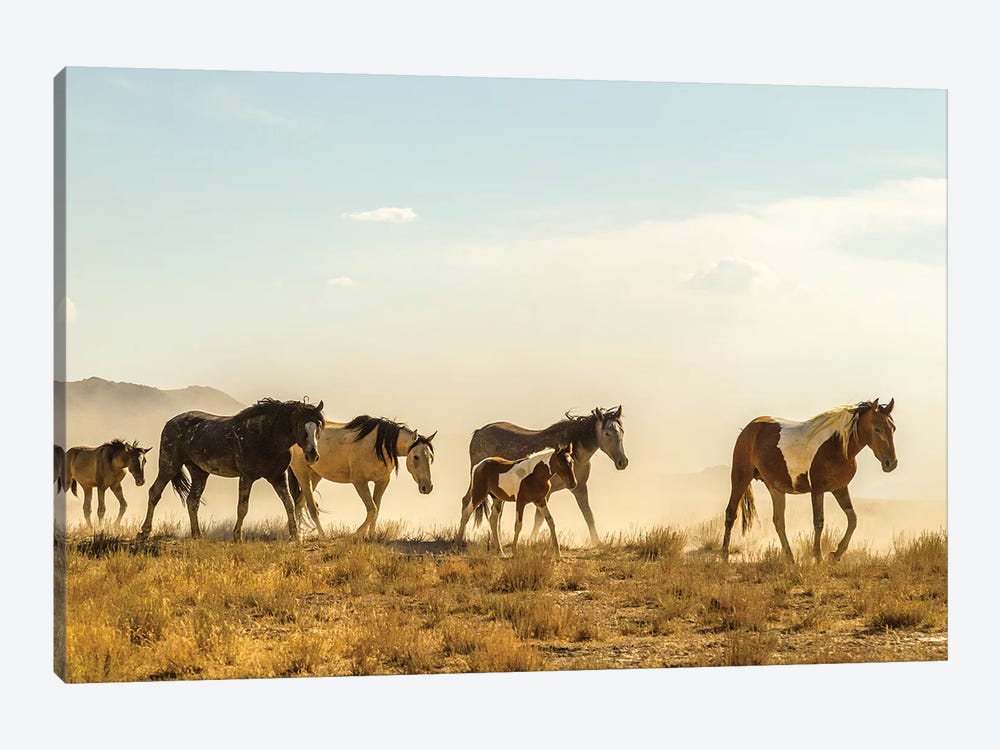 USA, Utah, Tooele County. Wild horses walking.  by Jaynes Gallery 1-piece Art Print