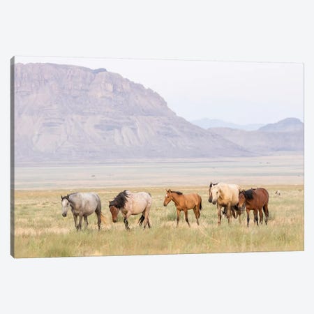 USA, Utah, Tooele County. Wild horses walking.  Canvas Print #JYG772} by Jaynes Gallery Canvas Art Print