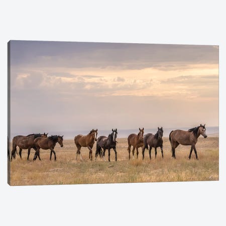 USA, Utah, Tooele County. Wild horses walking.  Canvas Print #JYG773} by Jaynes Gallery Canvas Print