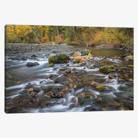 USA, Washington State, Olympic National Forest. Fall forest colors and Hamma Hamma River.  Canvas Print #JYG779} by Jaynes Gallery Canvas Art Print