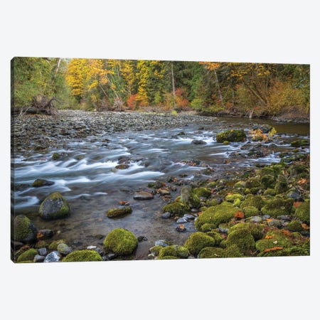 USA, Washington State, Olympic National Forest. Fall forest colors river.  Canvas Print #JYG781} by Jaynes Gallery Canvas Artwork