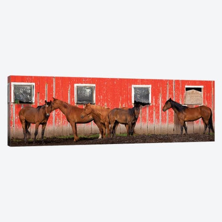 USA, Washington State, Palouse. Panoramic of horses next to red barn.  Canvas Print #JYG784} by Jaynes Gallery Canvas Print