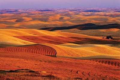 USA, Washington State. Palouse farming landscape. by Jaynes Gallery metal wall art