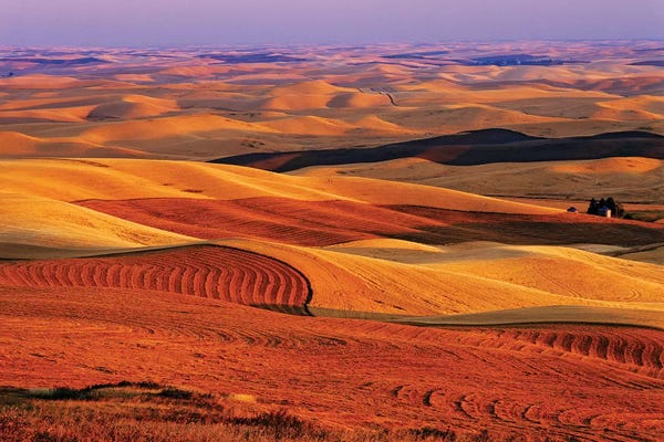 USA, Washington State. Palouse farming landscape.