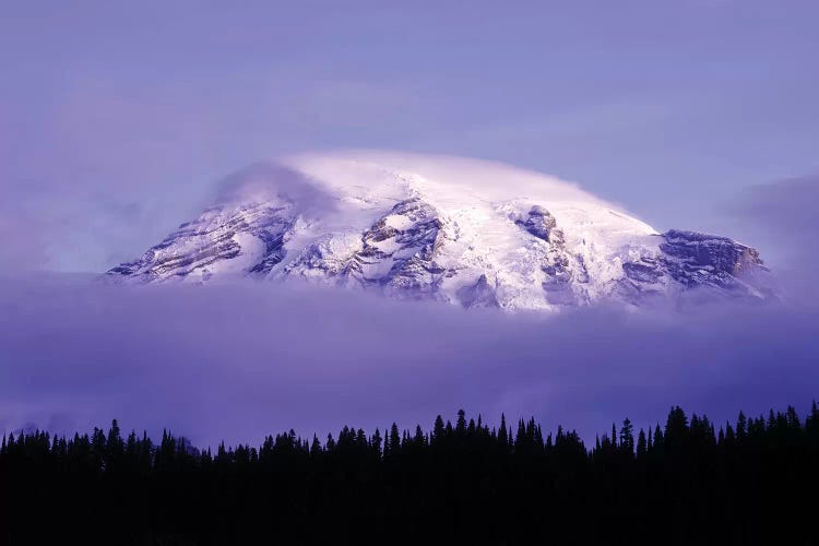 USA, Washington, Mt. Rainier National Park. Clouds on Mt Rainier and forest silhouette.