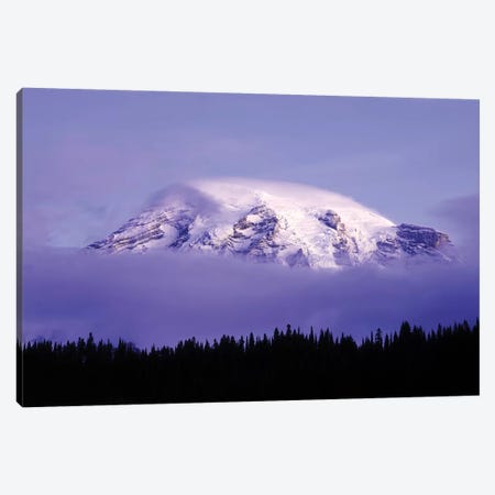 USA, Washington, Mt. Rainier National Park. Clouds on Mt Rainier and forest silhouette. Canvas Print #JYG787} by Jaynes Gallery Canvas Print