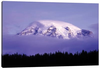 USA, Washington, Mt. Rainier National Park. Clouds on Mt Rainier and forest silhouette. Canvas Art Print - Mount Rainier National Park Art