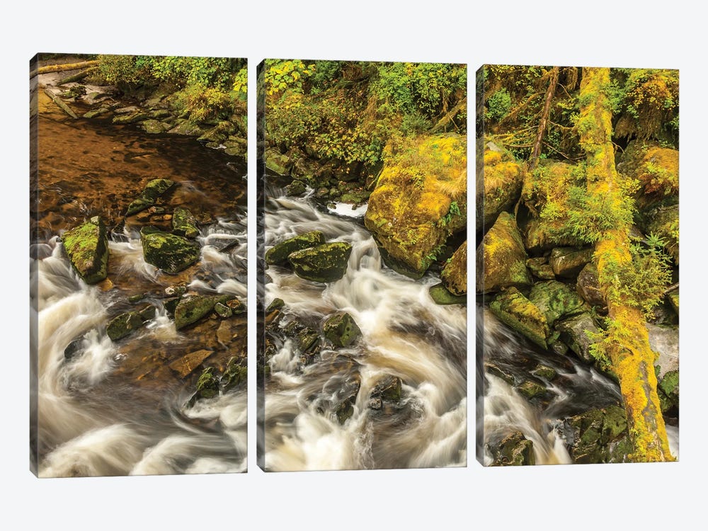 USA, Alaska, Tongass National Forest. Anan Creek scenic I by Jaynes Gallery 3-piece Canvas Artwork
