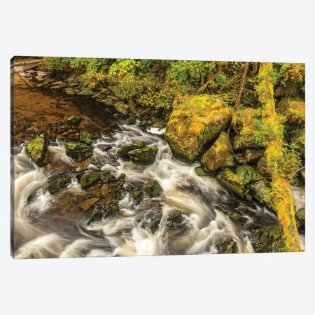 USA, Alaska, Tongass National Forest. Anan Creek scenic I Canvas Print #JYG78} by Jaynes Gallery Canvas Art Print