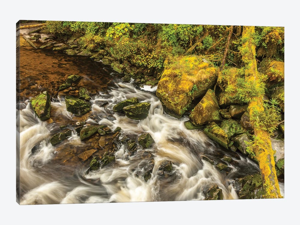USA, Alaska, Tongass National Forest. Anan Creek scenic I by Jaynes Gallery 1-piece Canvas Artwork