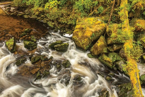 USA, Alaska, Tongass National Forest. Anan Creek scenic I
