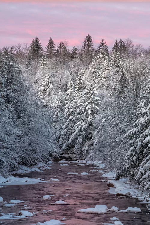 USA, West Virginia, Blackwater Falls State Park. Forest and stream in winter. 