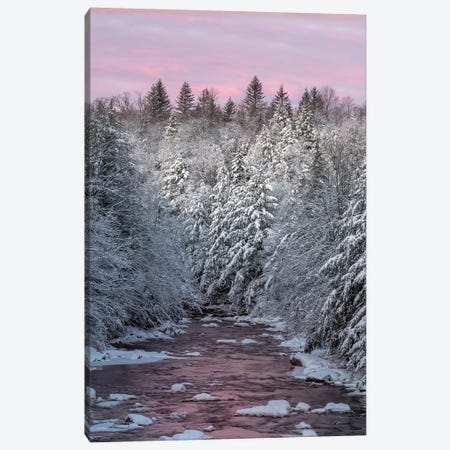 USA, West Virginia, Blackwater Falls State Park. Forest and stream in winter.  Canvas Print #JYG791} by Jaynes Gallery Art Print