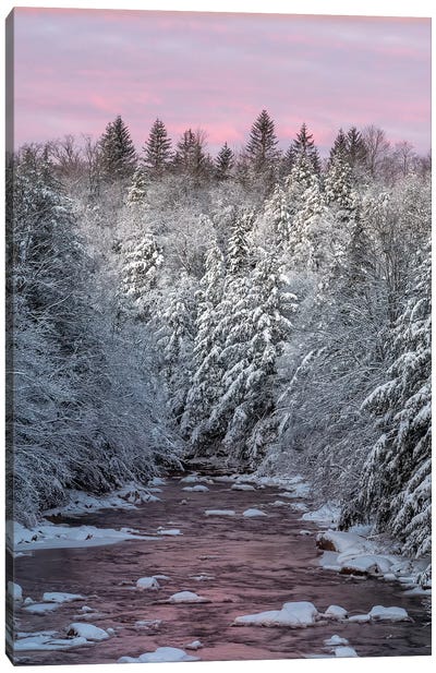 USA, West Virginia, Blackwater Falls State Park. Forest and stream in winter.  Canvas Art Print - West Virginia Art