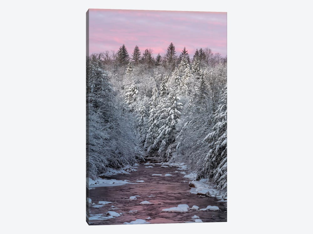 USA, West Virginia, Blackwater Falls State Park. Forest and stream in winter.  by Jaynes Gallery 1-piece Canvas Art Print