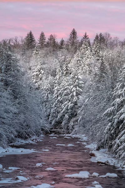USA, West Virginia, Blackwater Falls State Park. Forest and stream in winter.