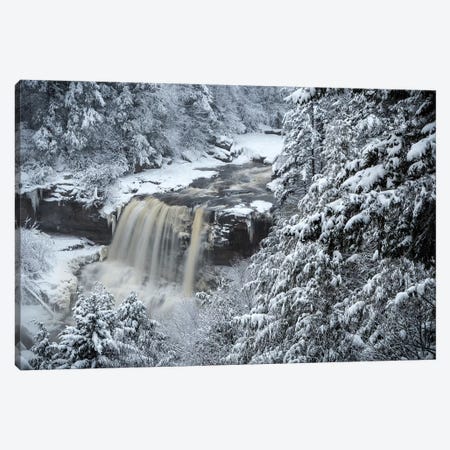 USA, West Virginia, Blackwater Falls State Park. Forest and waterfall in winter.  Canvas Print #JYG792} by Jaynes Gallery Canvas Print