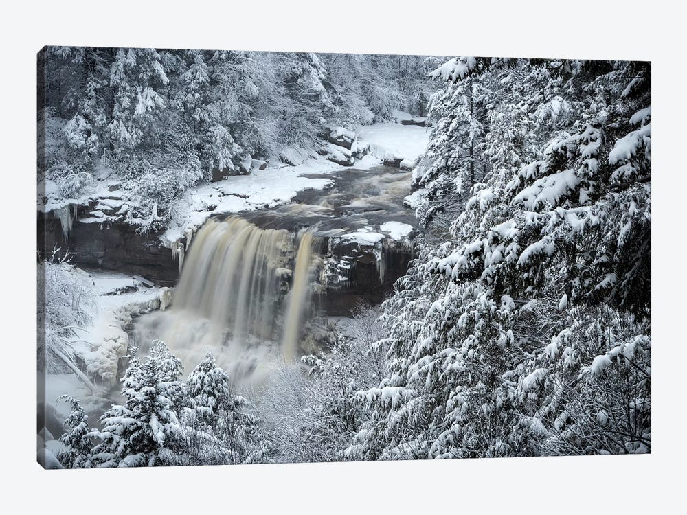 USA, West Virginia, Blackwater Falls State Park. Forest and waterfall in winter.  by Jaynes Gallery 1-piece Canvas Art