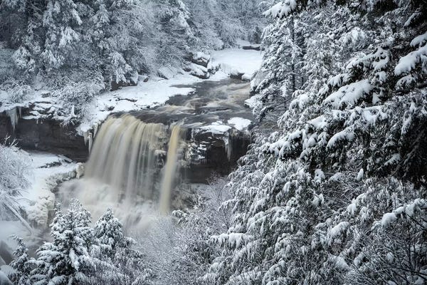 USA, West Virginia, Blackwater Falls State Park. Forest and waterfall in winter.