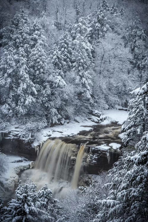 USA, West Virginia, Blackwater Falls State Park. Forest and waterfall in winter. 