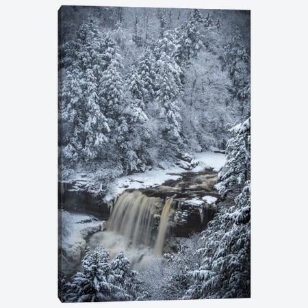 USA, West Virginia, Blackwater Falls State Park. Forest and waterfall in winter.  Canvas Print #JYG793} by Jaynes Gallery Canvas Print