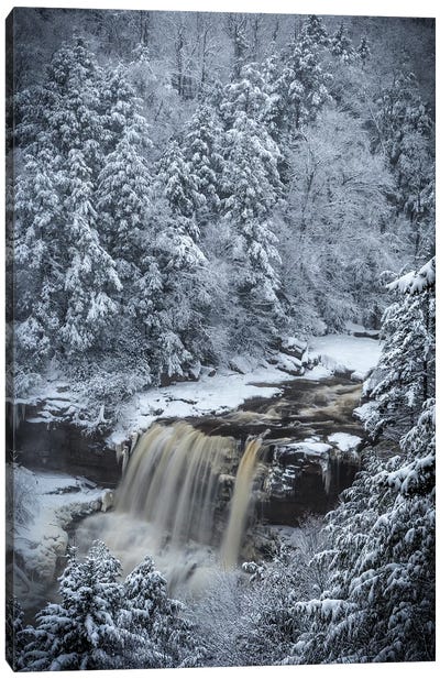USA, West Virginia, Blackwater Falls State Park. Forest and waterfall in winter.  Canvas Art Print - West Virginia Art