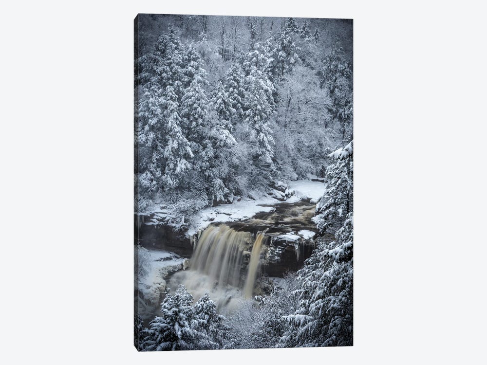 USA, West Virginia, Blackwater Falls State Park. Forest and waterfall in winter.  by Jaynes Gallery 1-piece Art Print