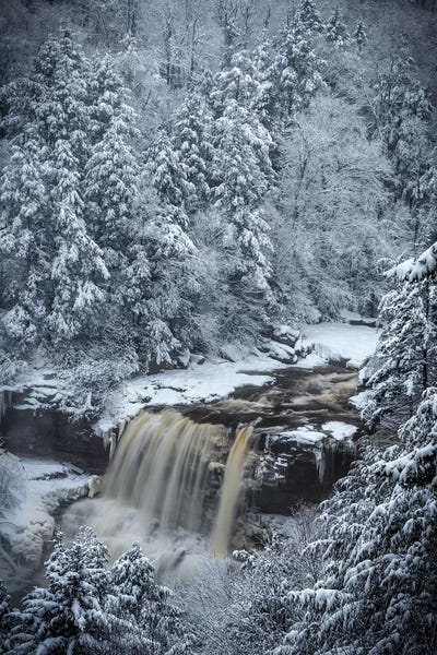 West Virginia: USA, West Virginia, Blackwater Falls State Park. Forest and waterfall in winter.  by Jaynes Gallery