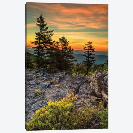 USA, West Virginia, Blackwater Falls State Park. Tree and landscape at sunset.  Canvas Print #JYG795} by Jaynes Gallery Canvas Artwork