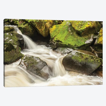USA, Alaska, Tongass National Forest. Anan Creek scenic II Canvas Print #JYG79} by Jaynes Gallery Canvas Print