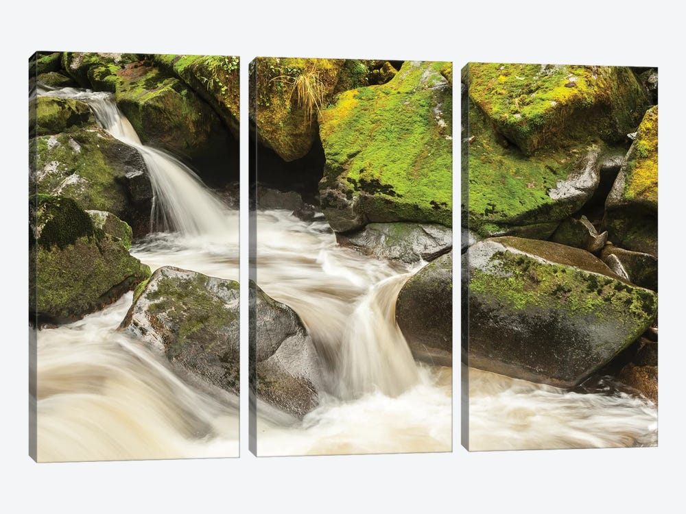 USA, Alaska, Tongass National Forest. Anan Creek scenic II by Jaynes Gallery 3-piece Canvas Print