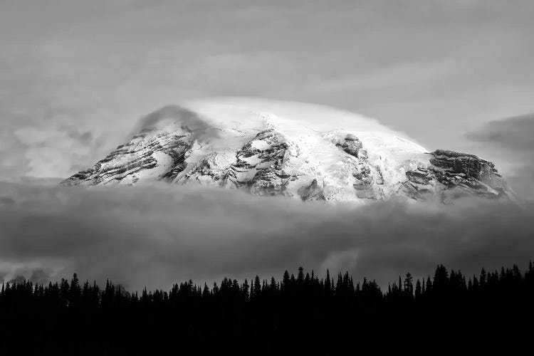 Washington, Mt. Rainier NP. Black and white of clouds on Mt Rainier and forest silhouette.