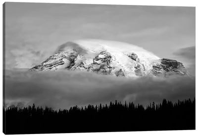 Washington, Mt. Rainier NP. Black and white of clouds on Mt Rainier and forest silhouette. Canvas Art Print - Mount Rainier Art
