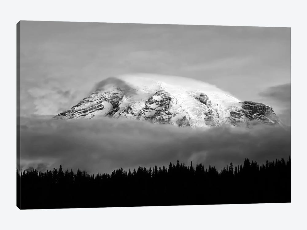 Washington, Mt. Rainier NP. Black and white of clouds on Mt Rainier and forest silhouette. by Jaynes Gallery 1-piece Canvas Art