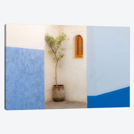 Africa, Morocco, Asilah. Potted Tree And Painted Walls. Canvas Print #JYG806} by Jaynes Gallery Canvas Art