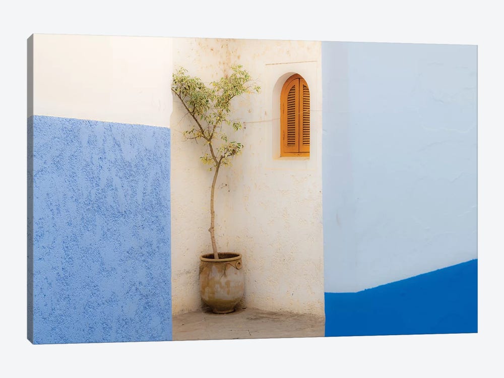 Africa, Morocco, Asilah. Potted Tree And Painted Walls. by Jaynes Gallery 1-piece Art Print