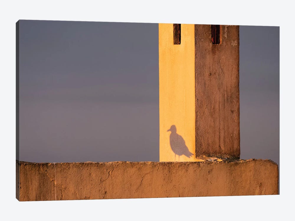 Africa, Morocco, Essaouira. Shadow Of Seagull At Sunrise. by Jaynes Gallery 1-piece Canvas Art