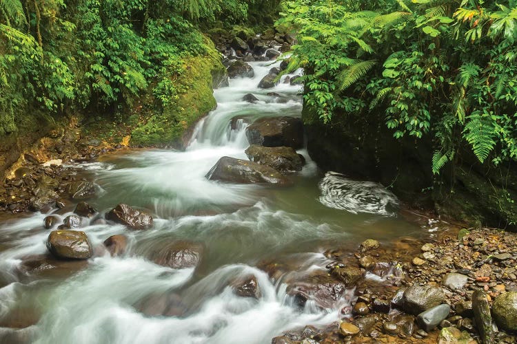 Costa Rica, La Paz River Valley. Rainforest Stream In La Paz Waterfall Garden.