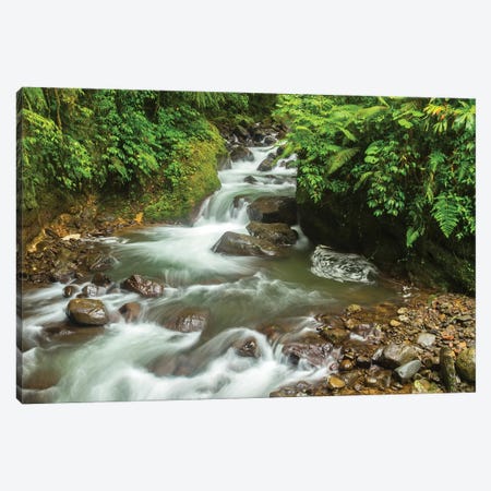 Costa Rica, La Paz River Valley. Rainforest Stream In La Paz Waterfall Garden. Canvas Print #JYG840} by Jaynes Gallery Canvas Print