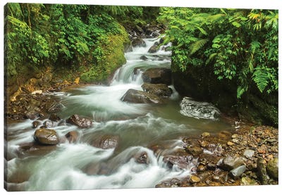 Costa Rica, La Paz River Valley. Rainforest Stream In La Paz Waterfall Garden. Canvas Art Print - Central America